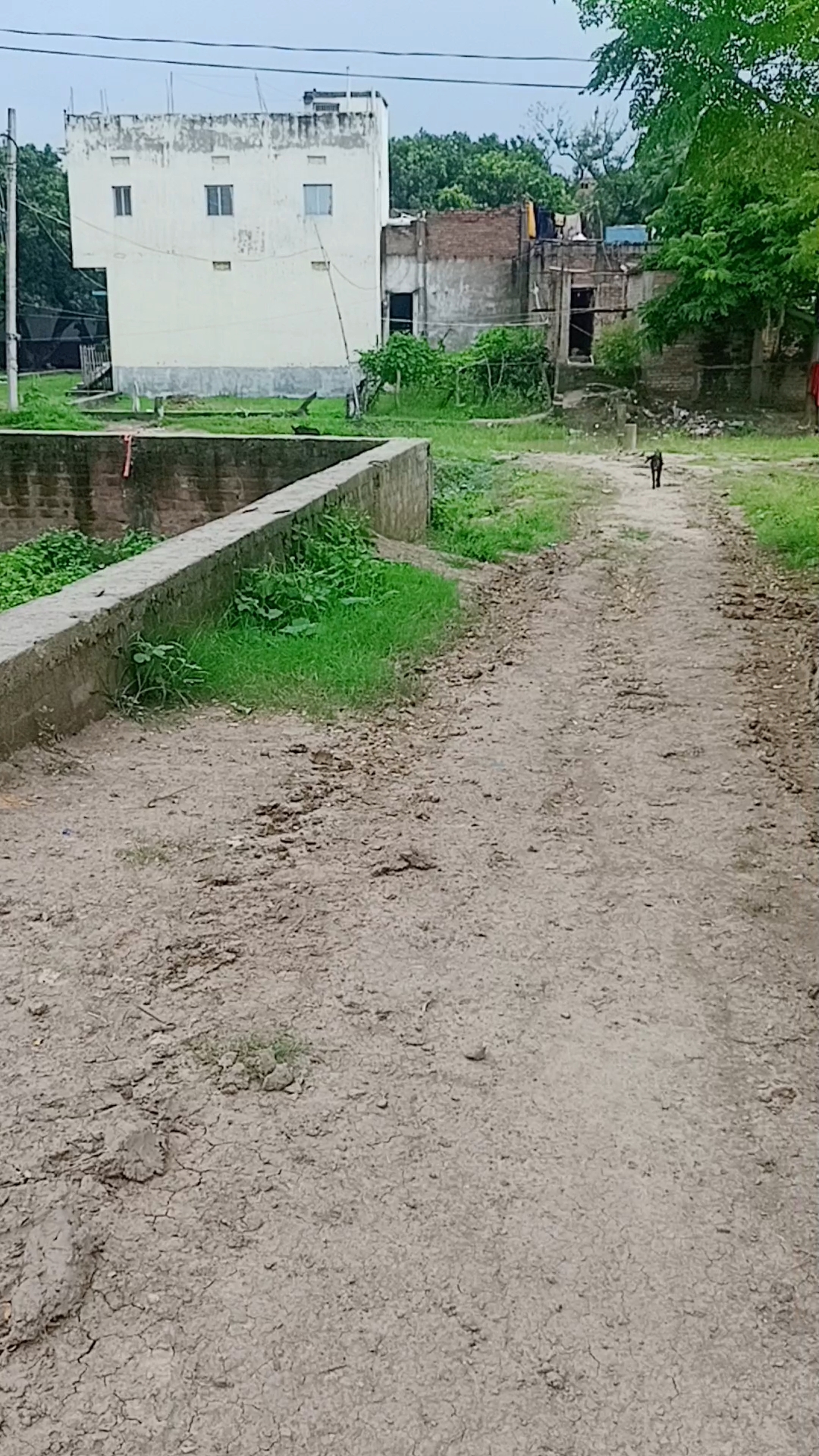 Plot near sampatchak 