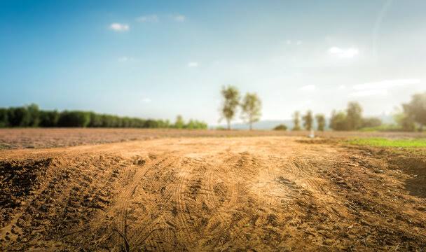 26 kattha  120 frontage