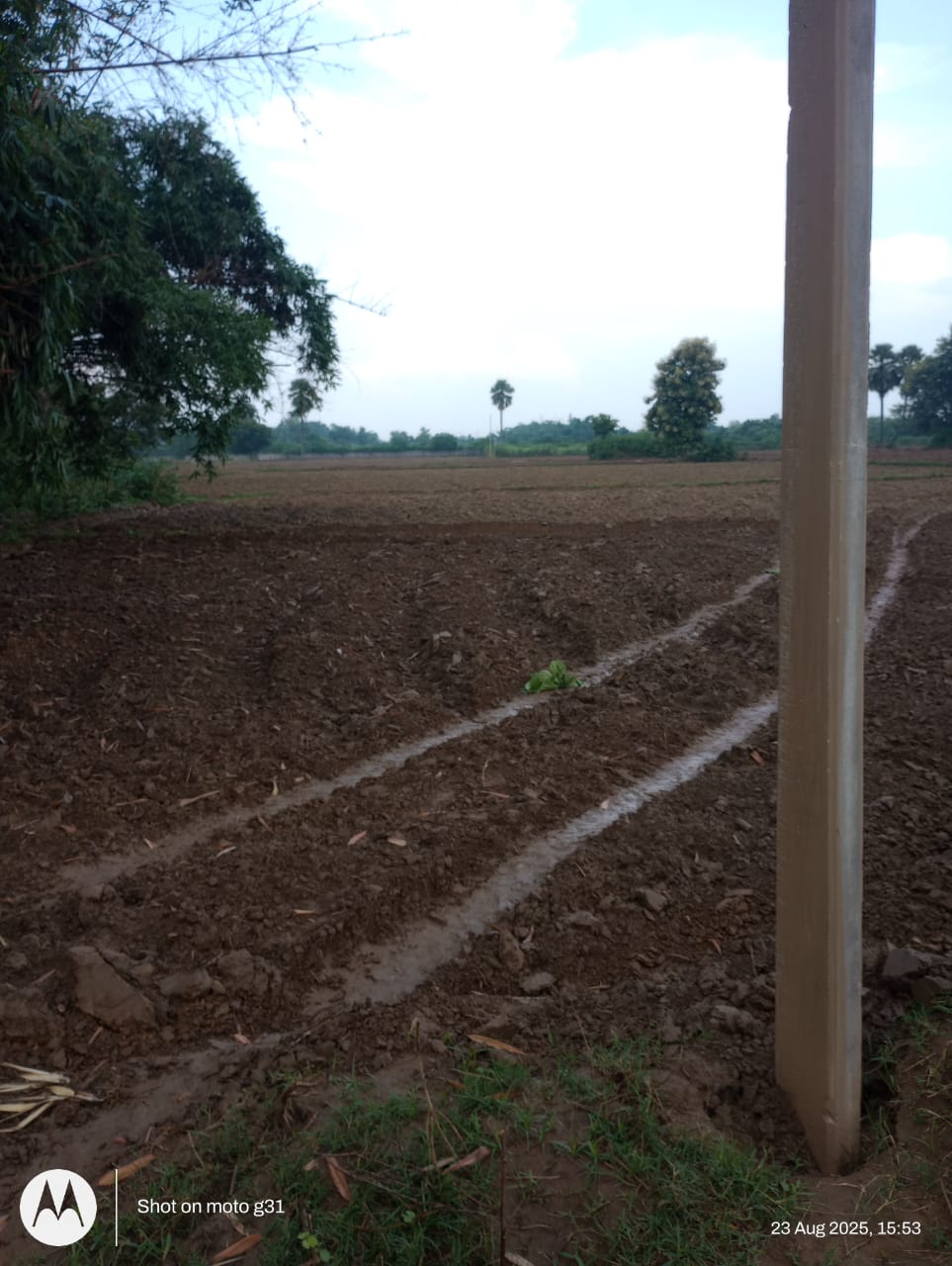 Plot near to Bihta IIT