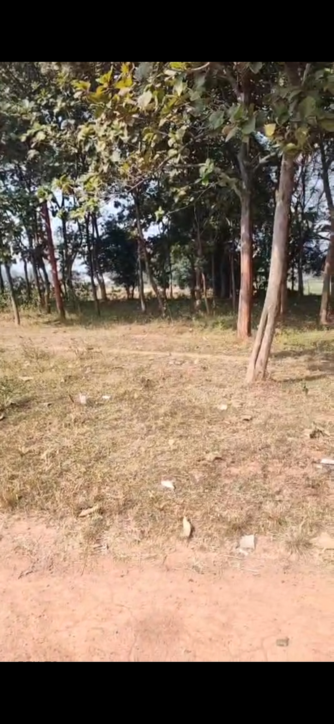 Near MS Dhoni residence