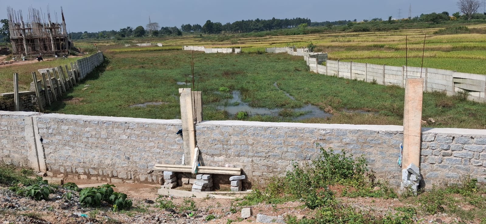 20 decimil - Image 3