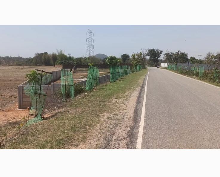 Plot-Upper-Dahu-10-Acre in Upper Dahu — Photo 2