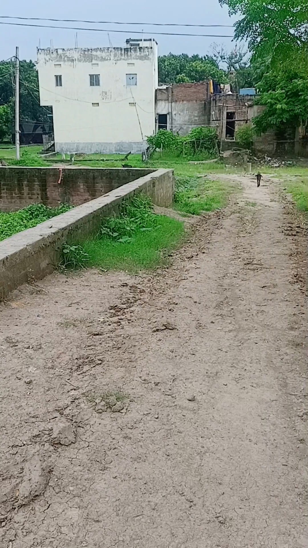 Plot near sampatchak  - Image 4