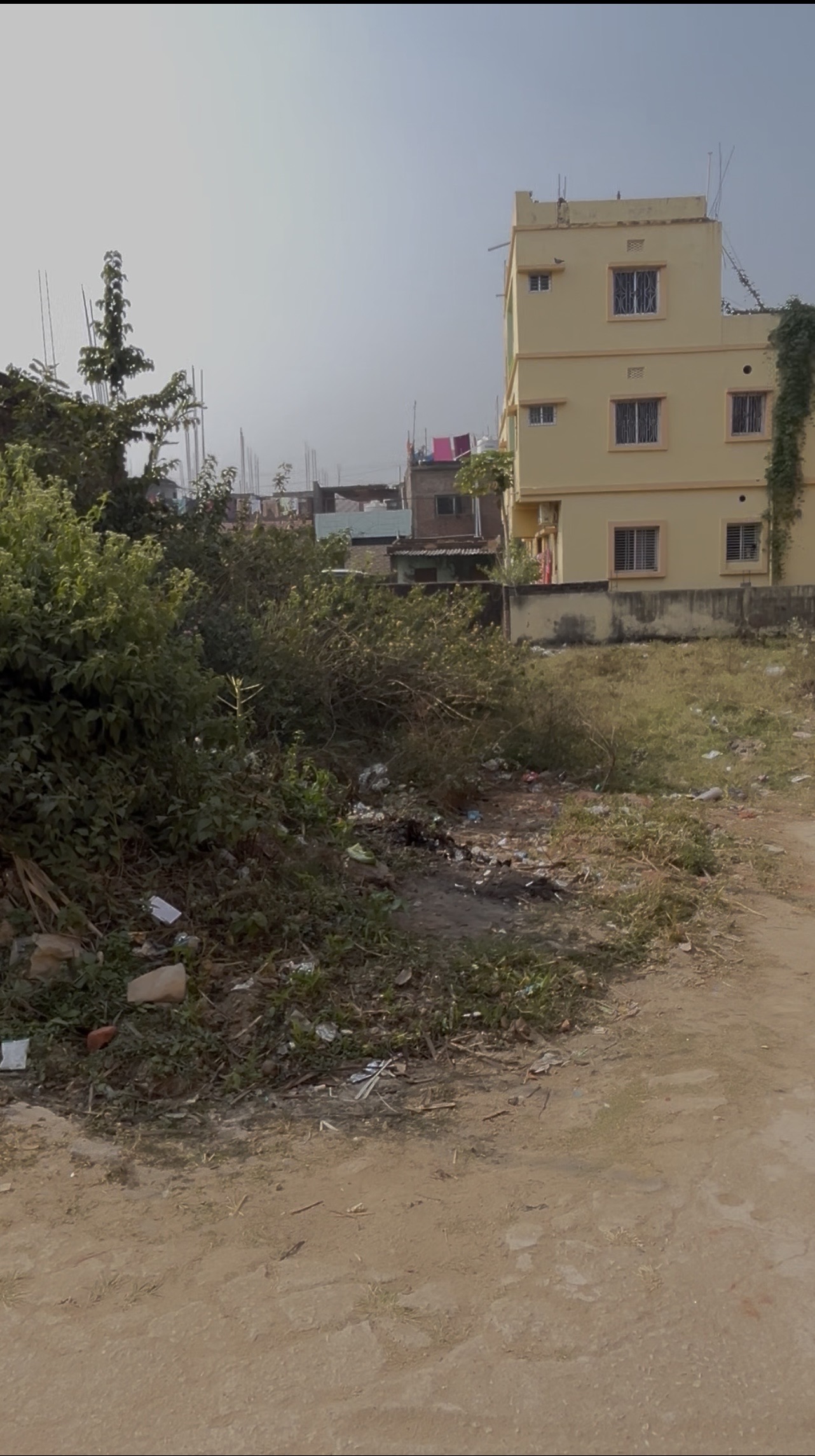 edalhatu shivji path mora - Image 3