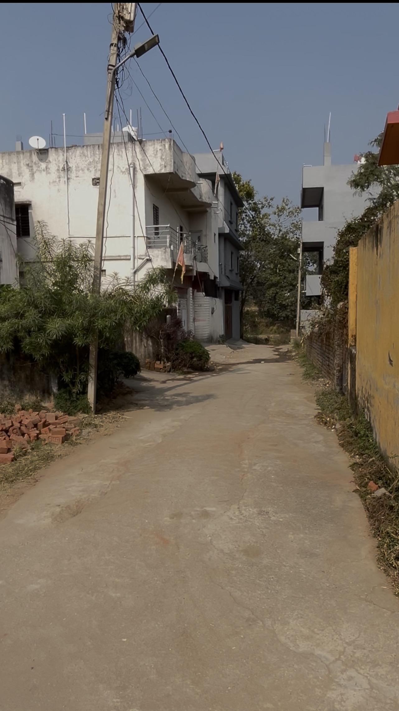 edalhatu shivji path mora - Image 4