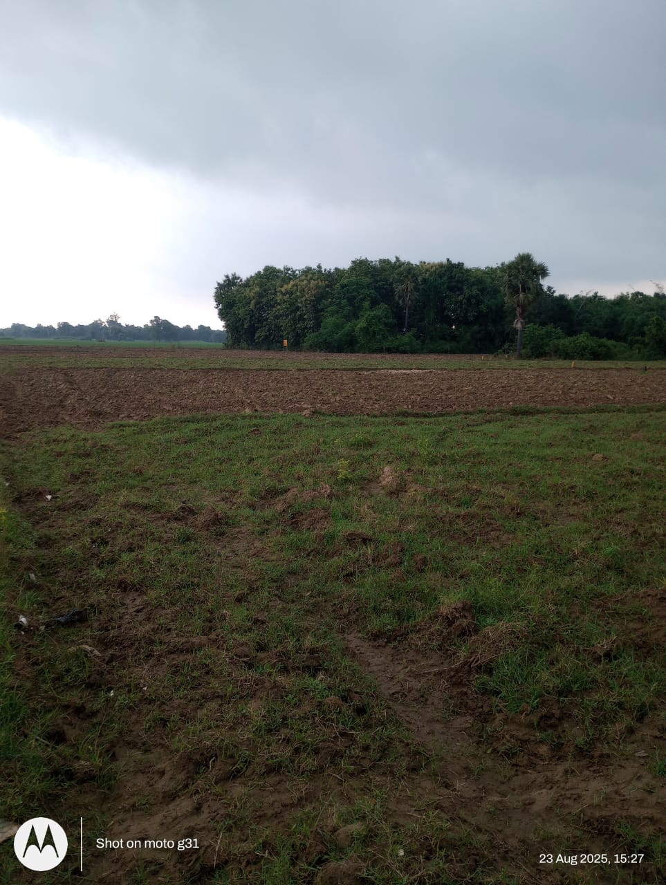 Plot near to Bihta IIT - Image 3