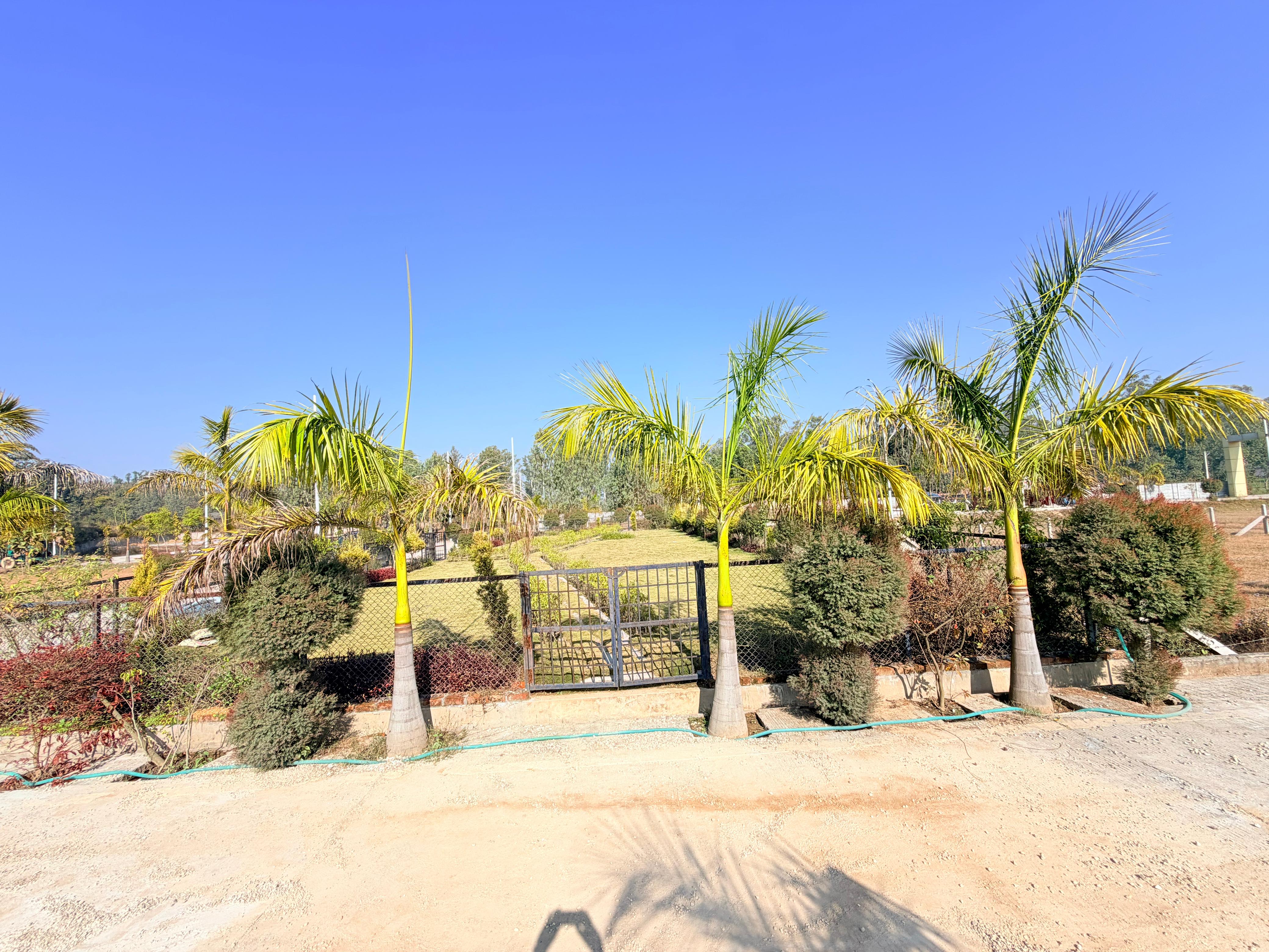 Bihari Garh plots - Image 6