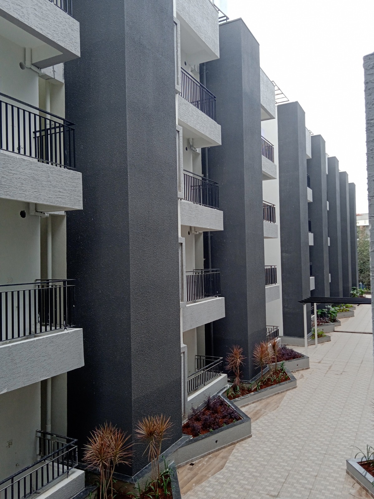 DS MAX Sukruth  in Bengaluru — Photo 3