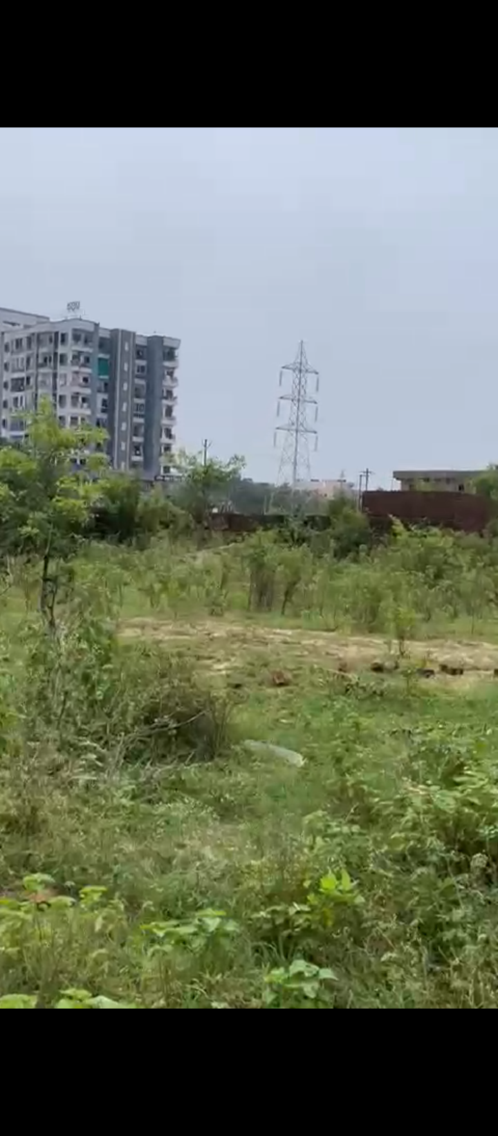 Plot-for-sale-pundag in Ranchi — Photo 1